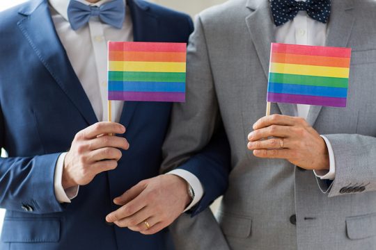 gay gamos omofylon loatki